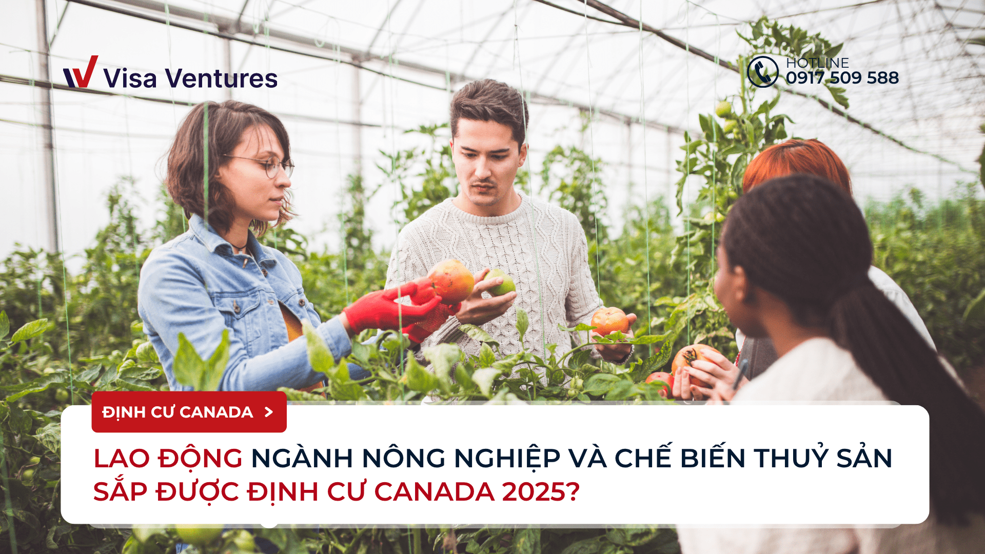 Lao dong dinh cu Canada 2025